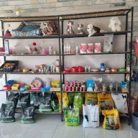 قفسه چیدمان