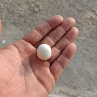 سنگ آسیاب قیمتی