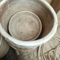 گلدان الوورا و یوگا باقیمت مناسب|گل و گیاه طبیعی|لواسان, |دیوار