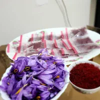 زعفران اقلید