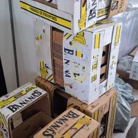 کارتن موز