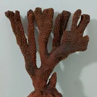 دکوری اکواریوم