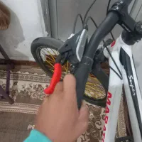 دوچرخه