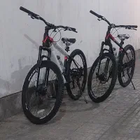 دوعدد دوچرخه اورلورد نو