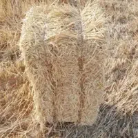 کاه بسته بندی شده از گندم و جو