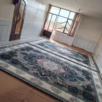قالی|فرش|مبارکه, |دیوار