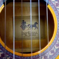 گیتار|گیتار، بیس، امپلیفایر|تبریز, |دیوار