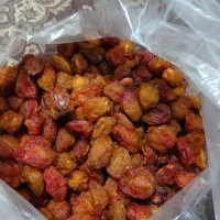 آلو آفتابی