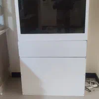 آکواریم آب شور