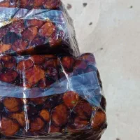 خرمای خاصویی جم