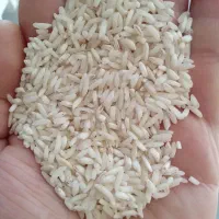 ب رنج صد درصد ایرانی