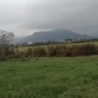 فروش فوری زمین در گیلان مناسب سرمایه گذاری