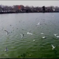 ۲۴متردوراستخرمعاوضه فروش