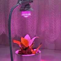 تولید لامپ ۳ وات فول اسپکتروم / هالوژن رشد گیاه|گل و گیاه طبیعی|مشهد, سناباد|دیوار