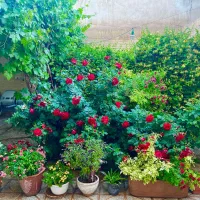 خانه دو طبقه شیک در خیابان ابوذر گلدیس|فروش خانه و ویلا|شاهین‌شهر, شهرک گلدیس|دیوار