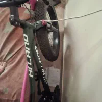 دوچرخه لاستیک پهن|دوچرخه، اسکیت، اسکوتر|ری, منصوریه منگل|دیوار