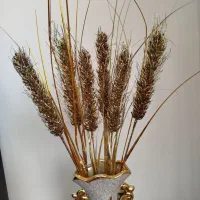 گل سانسوریا و باکس گل و وو|گل و گیاه طبیعی|سهند, |دیوار