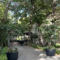 ویتر و سالن کار  کافه رستوران