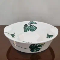 ظرف پذیرایی میوه خوری سالادخوری