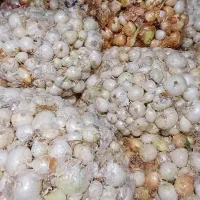 پیاز ترشی