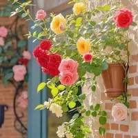 تدریس خصوصی