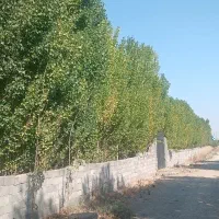 زمین-باغی-از-500متر-تا-5هزار-متر-قطعات-در-اورین