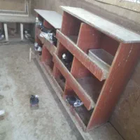 تعدادی کبوتر نقش ورنگی بصورت توافقی تکی یا یکجا