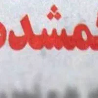 گمشده .یک عدد کیف زنانه حاوی عینک و دارو گم شده