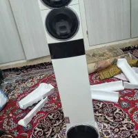 باندایستاده میکرولب سفید