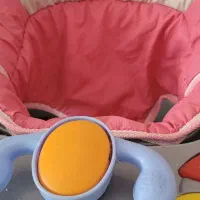 کریر و روروئک|کالسکه و لوازم جانبی|اصفهان, خوراسگان|دیوار