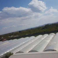 کارگر ماهر کشاورزی باغ در شهریار