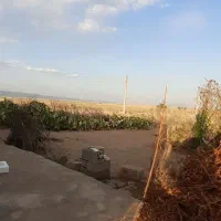 کار .خانه|خدمات نظافت|سیرجان, |دیوار