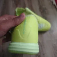 کفش سالنی|کیف، کفش، کمربند|نیشابور, خط کاشمر|دیوار