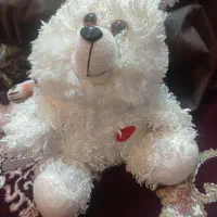 عروسک|اسباب‌‌بازی|رشت, تازه آباد|دیوار