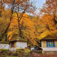 سفر گروهی تور دوستانه دونگی به جنگل‌های شمال