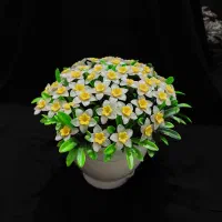 گل نرگس کریستالی