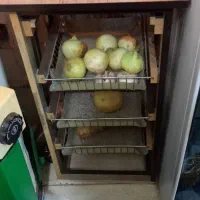 سبد سیب زمینی