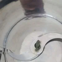 سبزی خرد کن قوی|خردکن، آسیاب، غذاساز|شاهین دژ, |دیوار