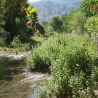 اجاره-روزانه-خانه-باغ-خبر-کرمان