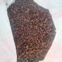 کشمش کاشمر (ارسال داریم)|خوردنی و آشامیدنی|خرمآباد (تنکابن), |دیوار