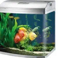 آکواریوم  شیشه خم شرکتی ماهیران