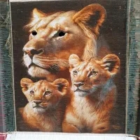 بافنده تعداد بالا دارم.