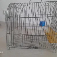قفس