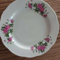 6تا بشقاب گل سرخی