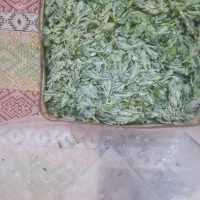 کاکل منگو تمیز شده