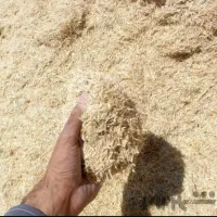 کاه گندم نونو ۱۷ باک