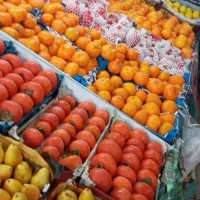 میوه فروشی حرفه ای