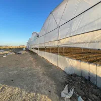 فروش گلخانه همراه با زمین و آب|اجارهٔ دفتر صنعتی، کشاورزی، تجاری|سراوان, |دیوار