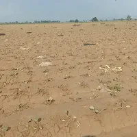 کارگرحرفه ای سریع وتمیزکار