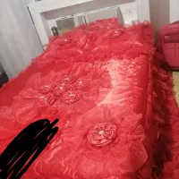 فایل|کتابخانه، شلف، قفسههای دیواری|مشهد, حضرت حجت|دیوار